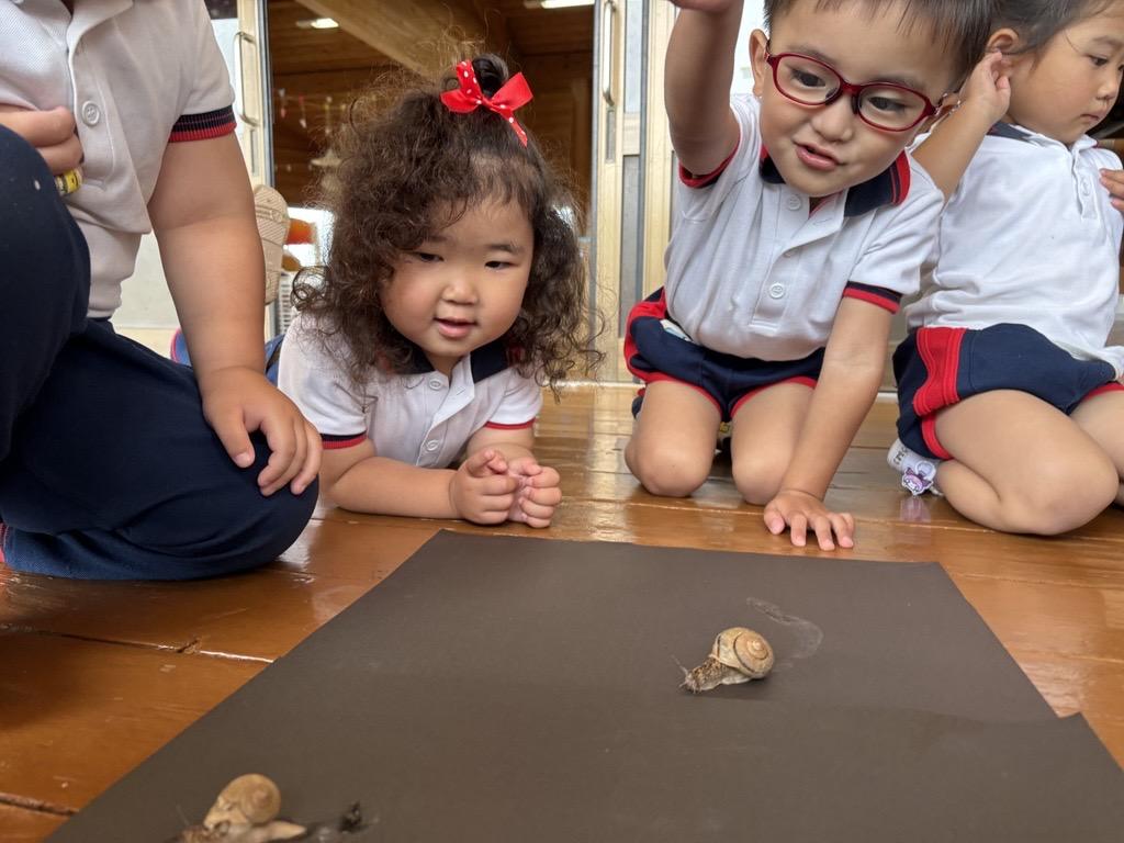 かたつむりっておもしろい🐌